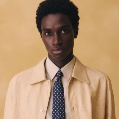 Men's ties, stoles and scarves collection | Hermès USA